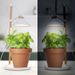 Smartwares Lampe de culture de jardin à LED 9 W Blanc - Photo n°6