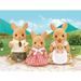 SYLVANIAN FAMILIES 5272 Famille Kangourou - Photo n°1