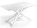 Table à manger design extensible blanc mat et pieds métal blanc Reina 160 à 210 cm - Photo n°6