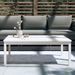 Table de jardin blanc 121x82,5x45 cm bois massif de pin - Photo n°3