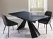 Table extensible 160/250 cm pieds laqué noir et plateau verre trempé anthracite Tokite - Photo n°1