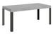 Table extensible 6 à 12 places L 160 à 264 cm gris béton et pieds métal gris foncé Liva - Photo n°1