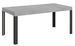 Table extensible bois pieds bois et acier anthracite Liva - Photo n°1