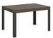 Table extensible bois avec 4 pieds bois et acier anthracite Liva - Photo n°1