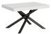 Table extensible design pieds arrondis entrelacés anthracite Zeus - Photo n°1