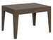 Table rectangulaire extensible 4 à 6 personnes 120/180 cm bois foncé Kina - Photo n°1