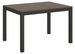 Table rectangulaire extensible 120 à 224 cm bois foncé et métal anthracite Evy - Photo n°1