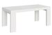 Table rectangulaire extensible 160 à 420 cm blanche Ribo - Photo n°1