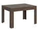 Table rectangulaire extensible 4 à 6 personnes 120 à 180 cm bois foncé Tipi - Photo n°1