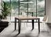 Table rectangulaire extensible 6 à 10 places L 120 à 224 cm chêne clair et pieds acier gris foncé Flavien - Photo n°2