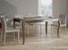 Table rectangulaire extensible 6 à 12 personnes L 160 à 264 cm bois foncé et métal gris Odeza - Photo n°2