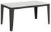 Table rectangulaire extensible 6 à 20 places L 160 à 420 cm blanc laqué et pieds acier gris foncé Flavien - Photo n°1