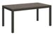 Table rectangulaire extensible bois foncé et métal anthracite 160 à 264 cm Evy - Photo n°1