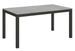 Table rectangulaire extensible gris béton et métal anthracite 160 à 264 cm Evy - Photo n°1