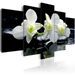 Tableau Melancholic orchids - Photo n°1