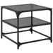 Tables basses avec dessus en verre noir 2 pcs 50x50x45 cm acier - Photo n°4