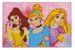 Tapis Princesses Disney - Photo n°1