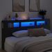 Tête de lit à LED noir 220x18,5x103,5 cm bois d'ingénierie - Photo n°1