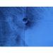 Tête de lit capitonnée velours bleu Luxa 160 cm - Photo n°2