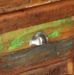 Vaisselier sur roulettes 3 portes 1 tiroir bois massif recyclé Moust - Photo n°6