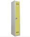 Vestiaire industrie en acier 1 porte Valeo L 41 x H 185 x P 51 cm – Fonctionnalité et Robustesse - Photo n°1