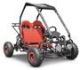 Buggy enfant 110cc noir