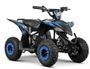 Quad 1000W 36V VOLT 6