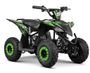 Quad 1000W 36V VOLT 6