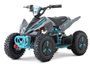 Quad électrique 1000W Nirtro Motors éco 6