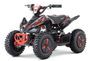 Quad électrique 1000W Nirtro Motors éco 6