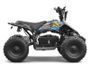 Quad électrique 800W luxe Xtrm 6