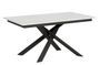 Table extensible design 160 à 220 cm blanc et pieds entrelacés métal anthracite Gary