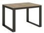 Table moderne extensible 6 à 10 places L 120 à 224 cm bois clair et cadre métal anthracite Likro