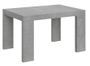 Table rectangulaire extensible 4 à 10 personnes L 130 à 234 cm gris béton Ribo