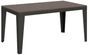 Table rectangulaire extensible 6 à 14 places L 180 à 284 cm bois foncé et pieds acier gris foncé Flavien