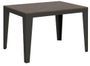 Table rectangulaire extensible 6 à 16 places L 120 à 380 cm bois foncé et pieds acier gris foncé Flavien