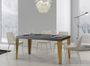 Table rectangulaire extensible 6 à 20 personnes L 160 à 420 cm gris béton et pieds métal doré Faye