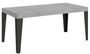 Table rectangulaire extensible 6 à 20 places L 160 à 420 cm gris effet béton et pieds métal anthracite Flavio