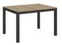 Table rectangulaire extensible bois clair et métal anthracite 120 à 380 cm Evy