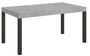 Table rectangulaire extensible bois gris ciment 6 à 20 places L 160 à 420 cm Karry