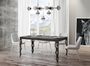 Table rectangulaire extensible orientale 6 à 20 personnes L 160 à 420 cm bois foncé et cadre métal anthracite Zakary