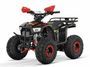 variante-3122266