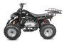 Warrior 150cc automatique 10