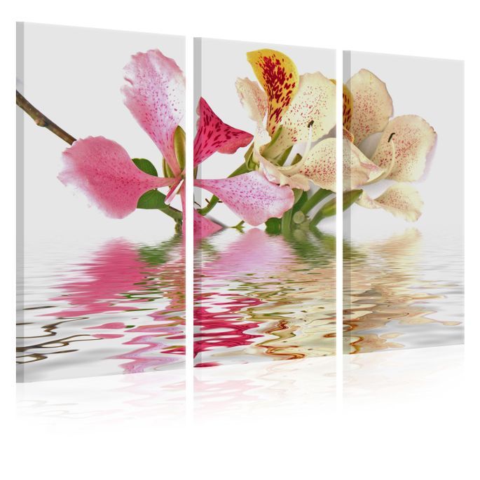 Tableau Orchid with colorful spots - Photo n°1