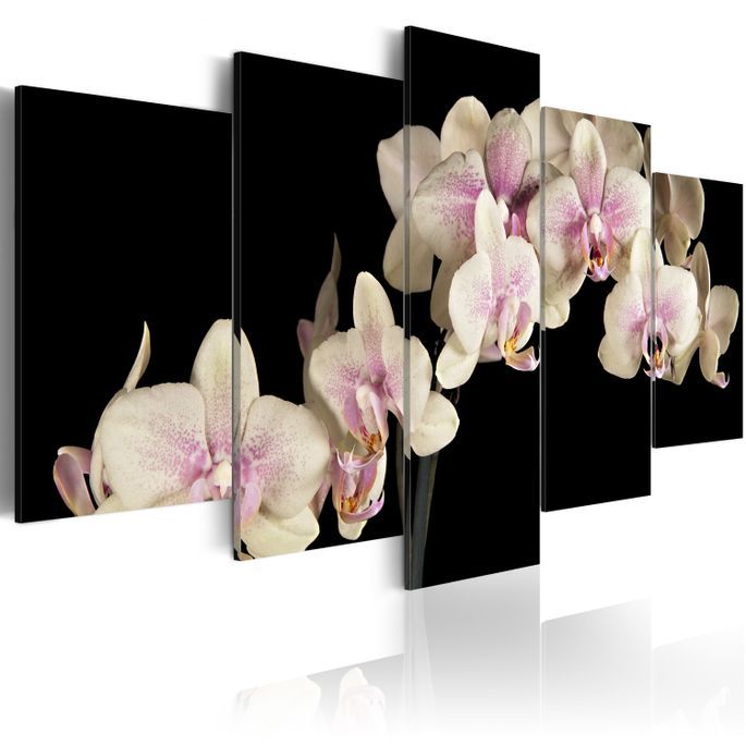 Tableau Orchidée sur fond contrasté - Photo n°1