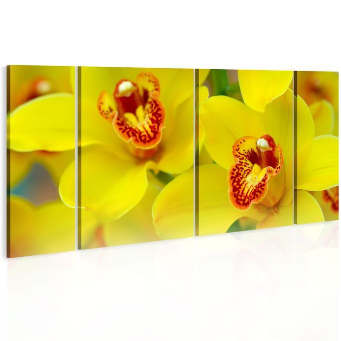 Tableau Orchids intensity of yellow color - Photo n°1