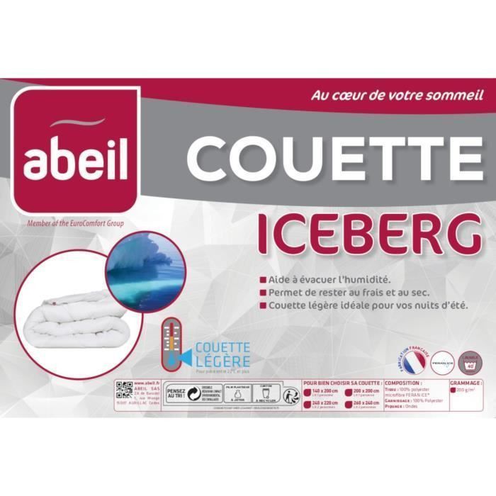 ABEIL Couette légere ICEBERG 200x200cm - Photo n°3