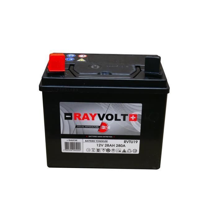 Batterie tondeuse RAYVOLT U19 28AH 280A + a gauche - Photo n°1