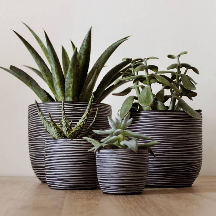 Capi Ensemble de 4 vases Nature Rib anthracite - Photo n°1