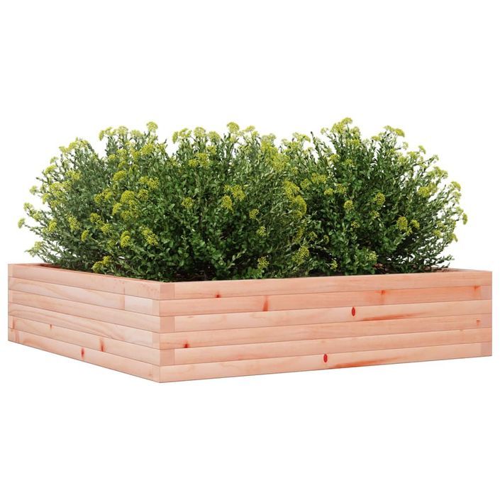 Jardinière 100x100x23 cm bois massif de douglas - Photo n°4